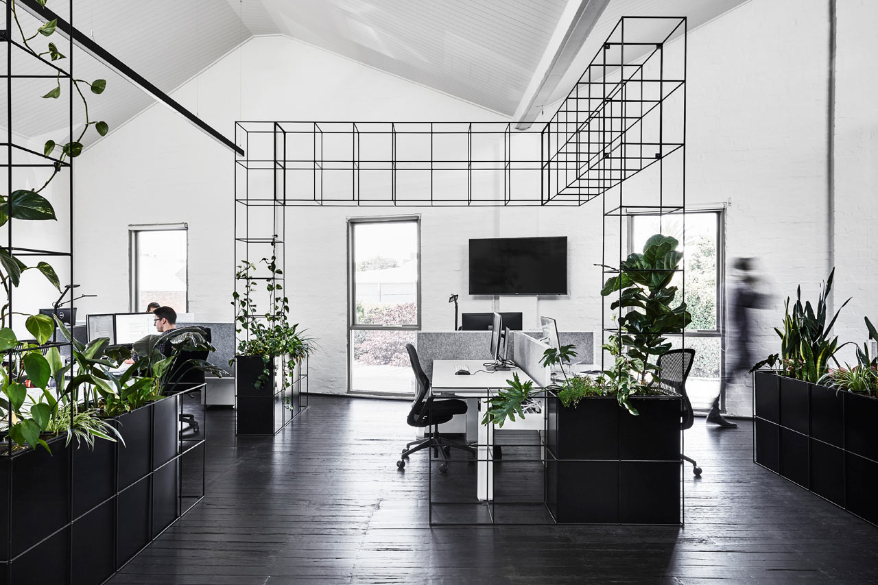 Our office